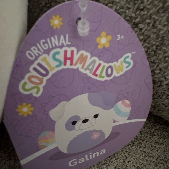 Nwt 5" Galina The Cream and Periwinkle Bulldog Squishmallow Easter - Picture 4 of 6